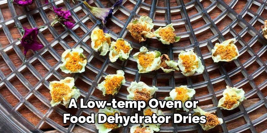 A Low-temp Oven or 
Food Dehydrator Dries