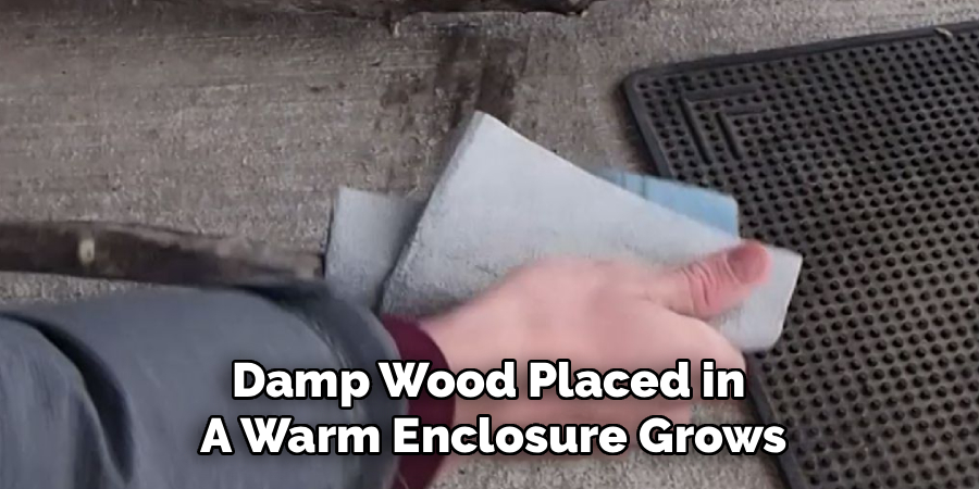 Damp Wood Placed in 
A Warm Enclosure Grows