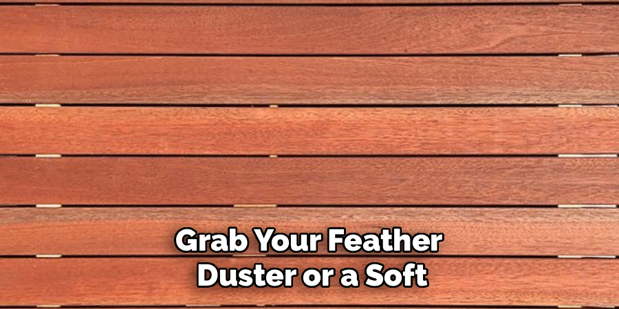 Grab Your Feather
Duster or a Soft