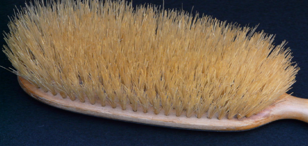 How to Clean Boar Bristle Brush With Wooden Handle