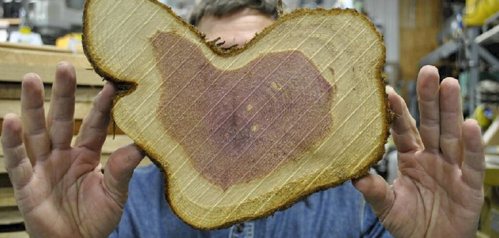 How to Cut Shapes Out of Wood