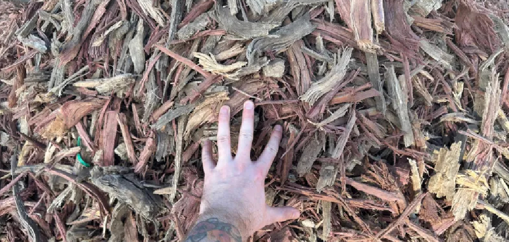 How to Make Wood Filler Without Sawdust
