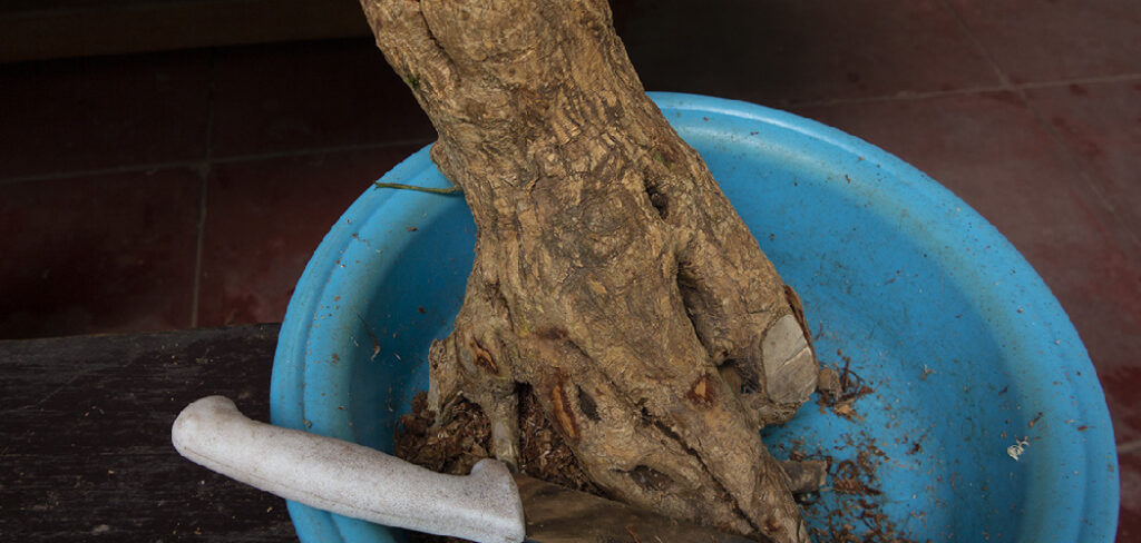 How to Preserve Driftwood for Crafts