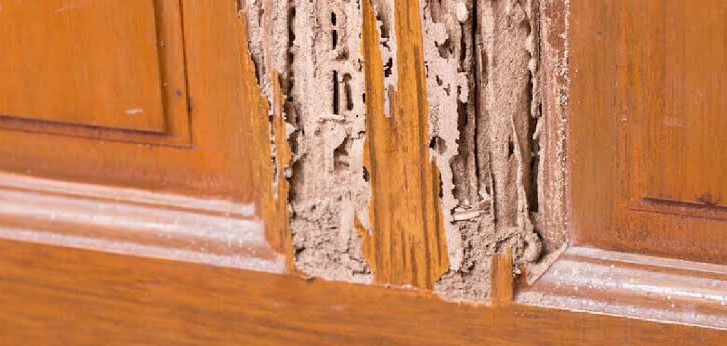 How to Repair Termite Damaged Wood
