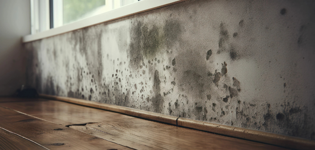 How to Stop Wood From Swelling