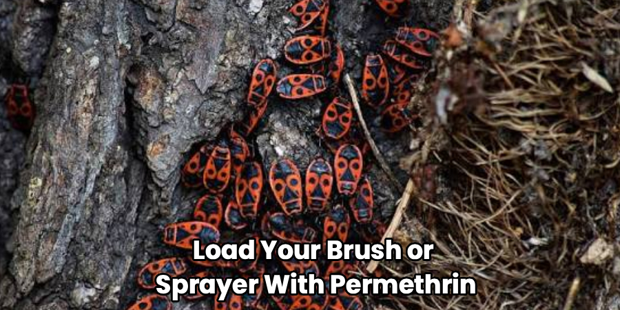 Load Your Brush or
Sprayer With Permethrin