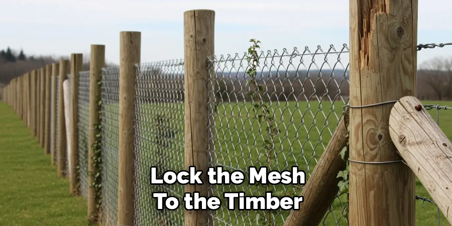 Lock the Mesh
To the Timber