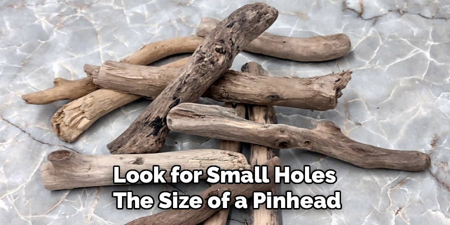 Look for Small Holes 
The Size of a Pinhead