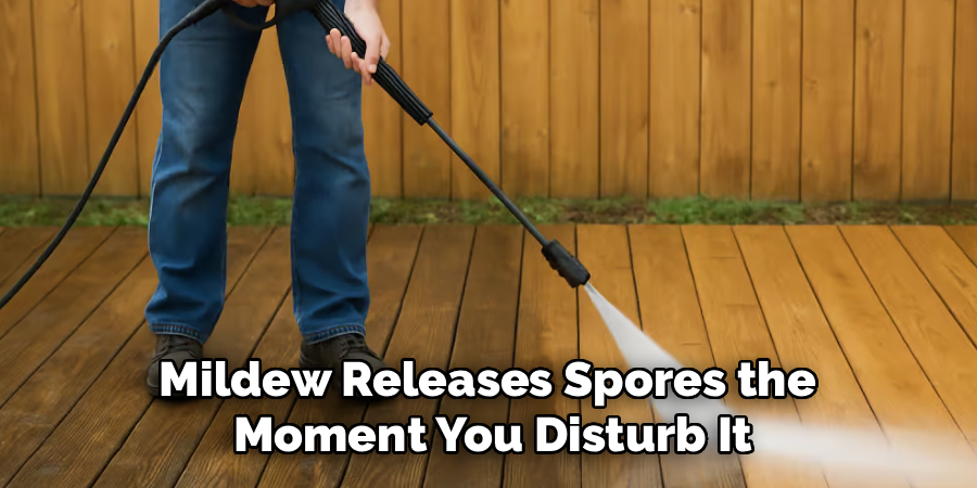 Mildew Releases Spores the
Moment You Disturb It