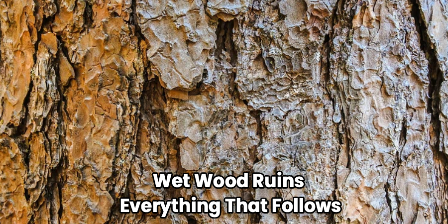 Wet Wood Ruins
 Everything That Follows