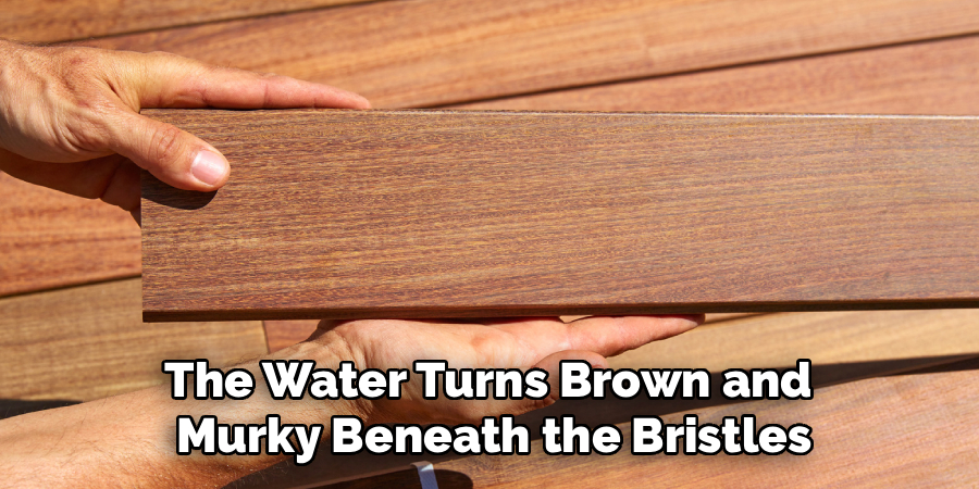 The Water Turns Brown and
Murky Beneath the Bristles