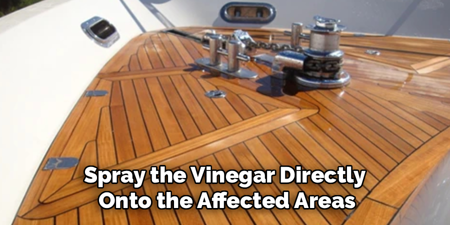 Spray the Vinegar Directly
Onto the Affected Areas